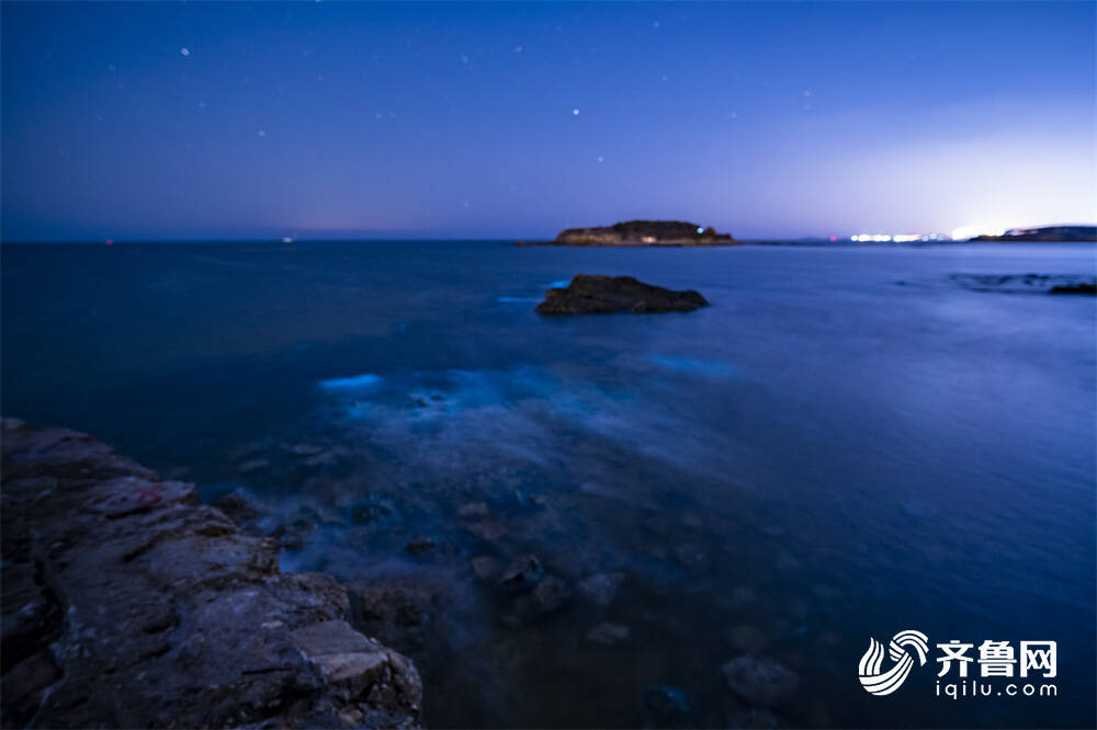 組圖｜威海現絕美“熒光海” 奪目似星河