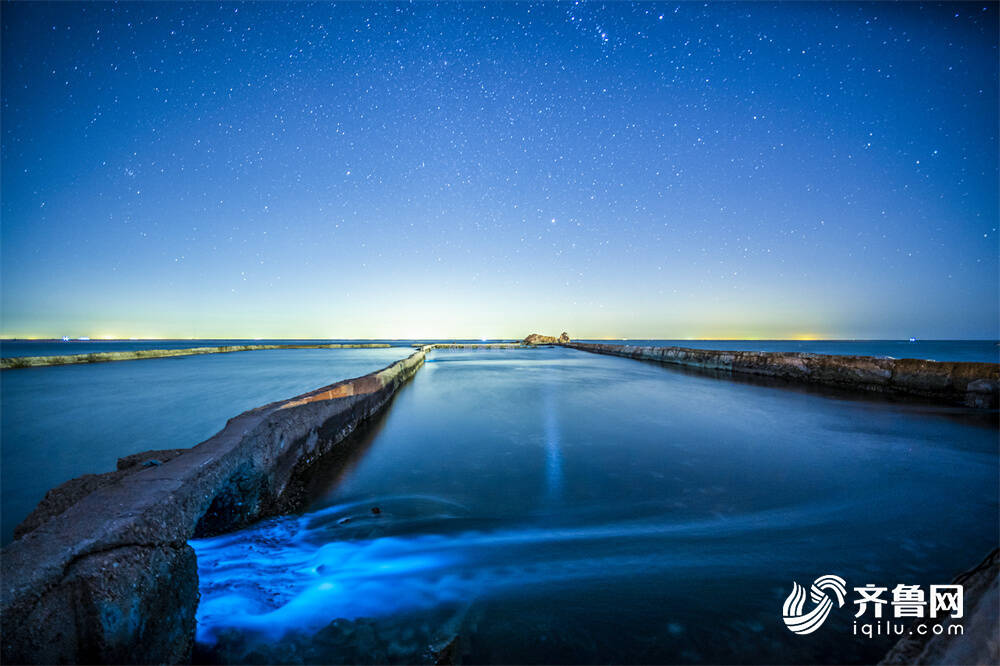 組圖｜威海現絕美“熒光海” 奪目似星河