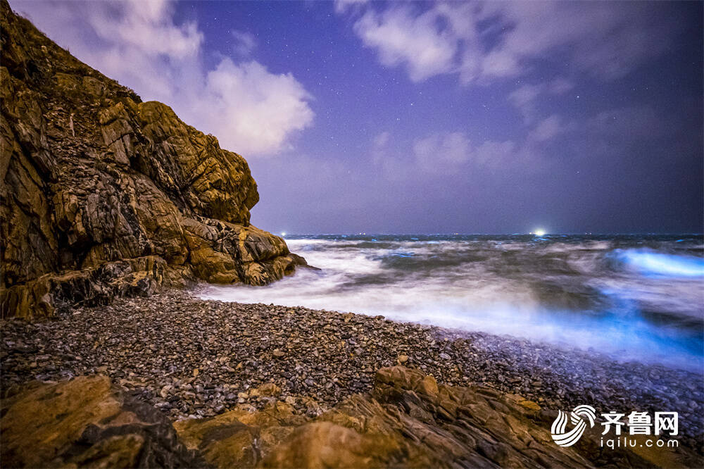 組圖｜威海現絕美“熒光海” 奪目似星河