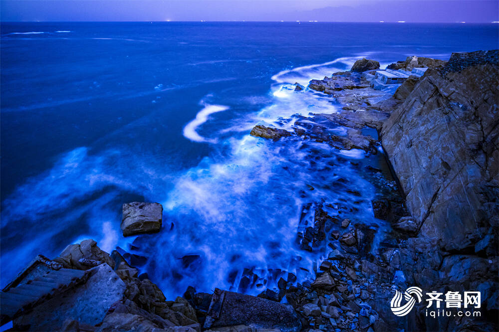 組圖｜威海現絕美“熒光海” 奪目似星河
