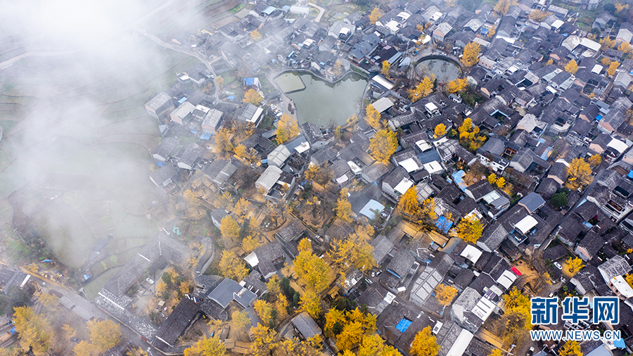 雨中村落 银杏染冬