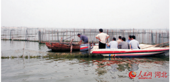 衡水湖：擦亮“华北绿明珠”谱写全域旅游新诗篇