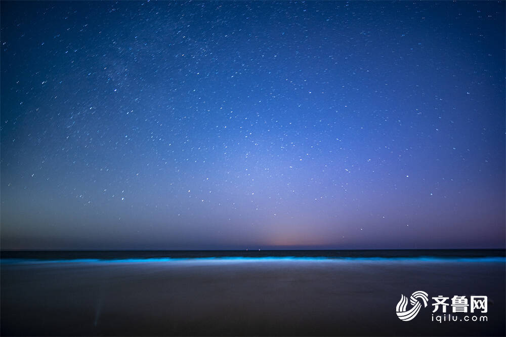 組圖｜威海現絕美“熒光海” 奪目似星河