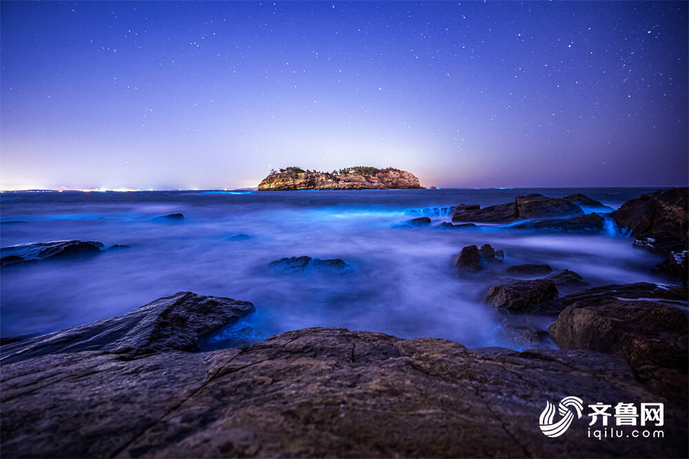 組圖｜威海現絕美“熒光海” 奪目似星河