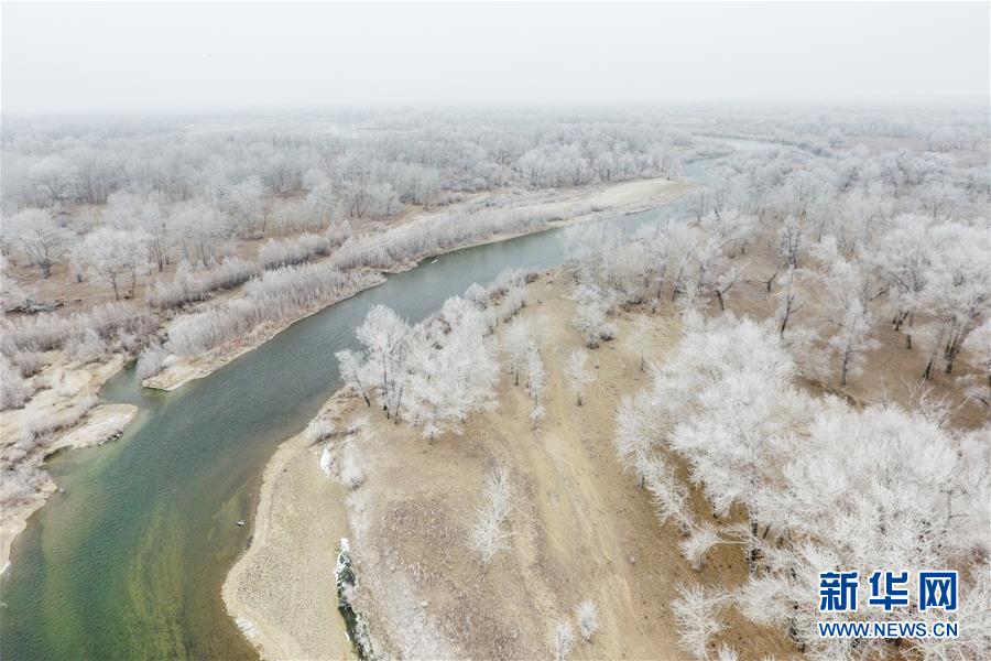 新疆额尔齐斯河流域现雾凇景观