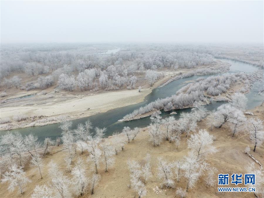 新疆额尔齐斯河流域现雾凇景观