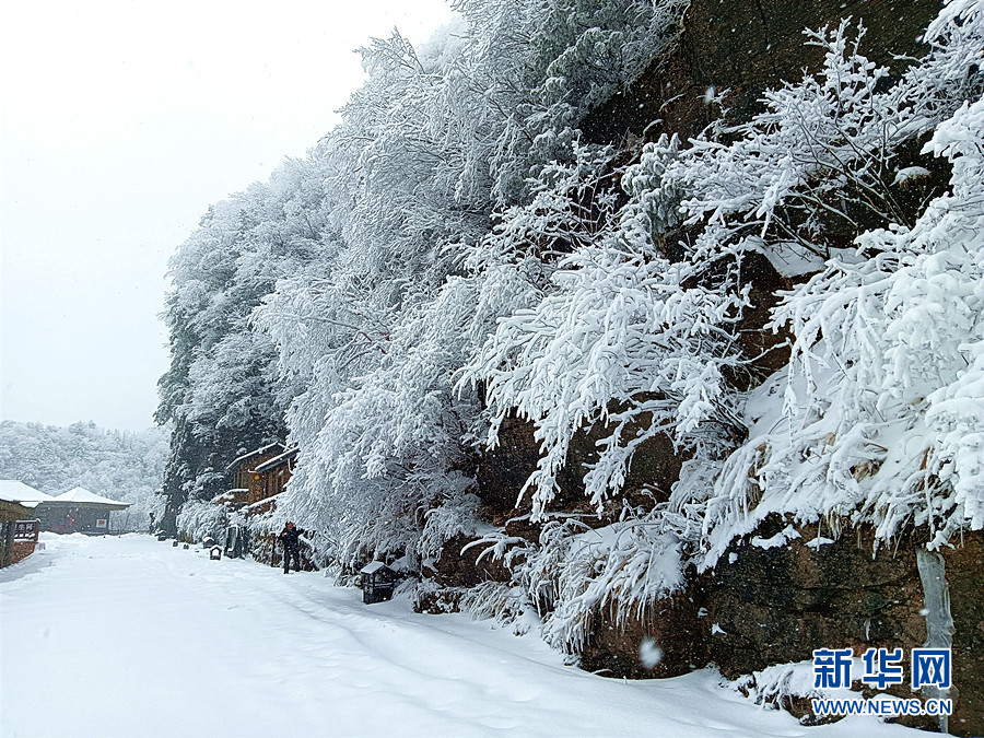 湖北多地迎降雪 雪潤大地美如畫