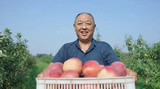 乡村产业数字化 帮1900万个“小丽”留下来