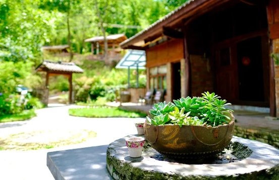 绵阳市平武县特色民宿产业点亮乡村“美丽经济”