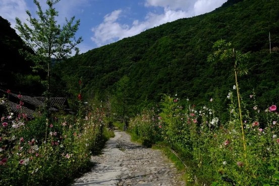 绵阳市平武县特色民宿产业点亮乡村“美丽经济”