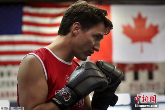 加拿大总理纽约健身房练拳击 秀纹身架势十足(图)