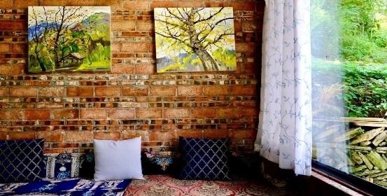 绵阳市平武县特色民宿产业点亮乡村“美丽经济”