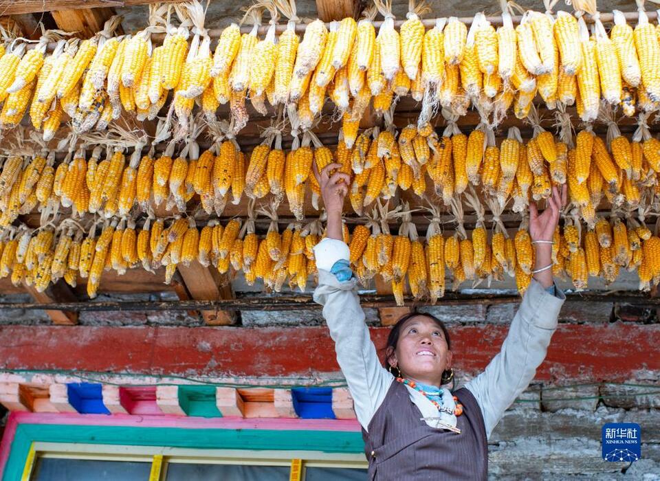 陈塘镇位于西藏日喀则市定结县西南部,喜马拉雅山脉中段南坡,平均海拔