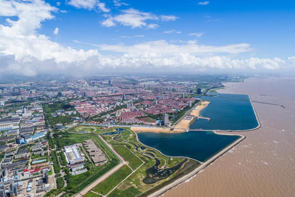 在创新转型中塑造"上海湾区"的金山实践