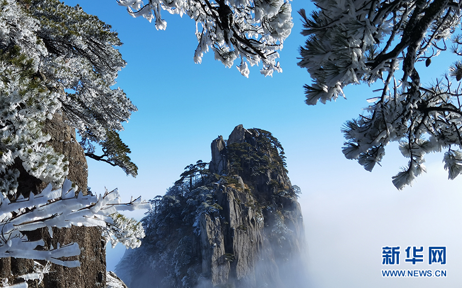 黄山雪后放晴 云海、雾凇齐现