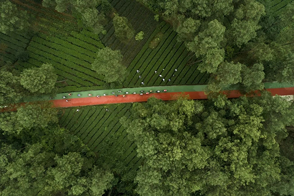 成都唯一 蒲江县入选全国首批农业现代化示范区创建名单_fororder_蒲江公园绿道-供图-蒲江县委宣传部