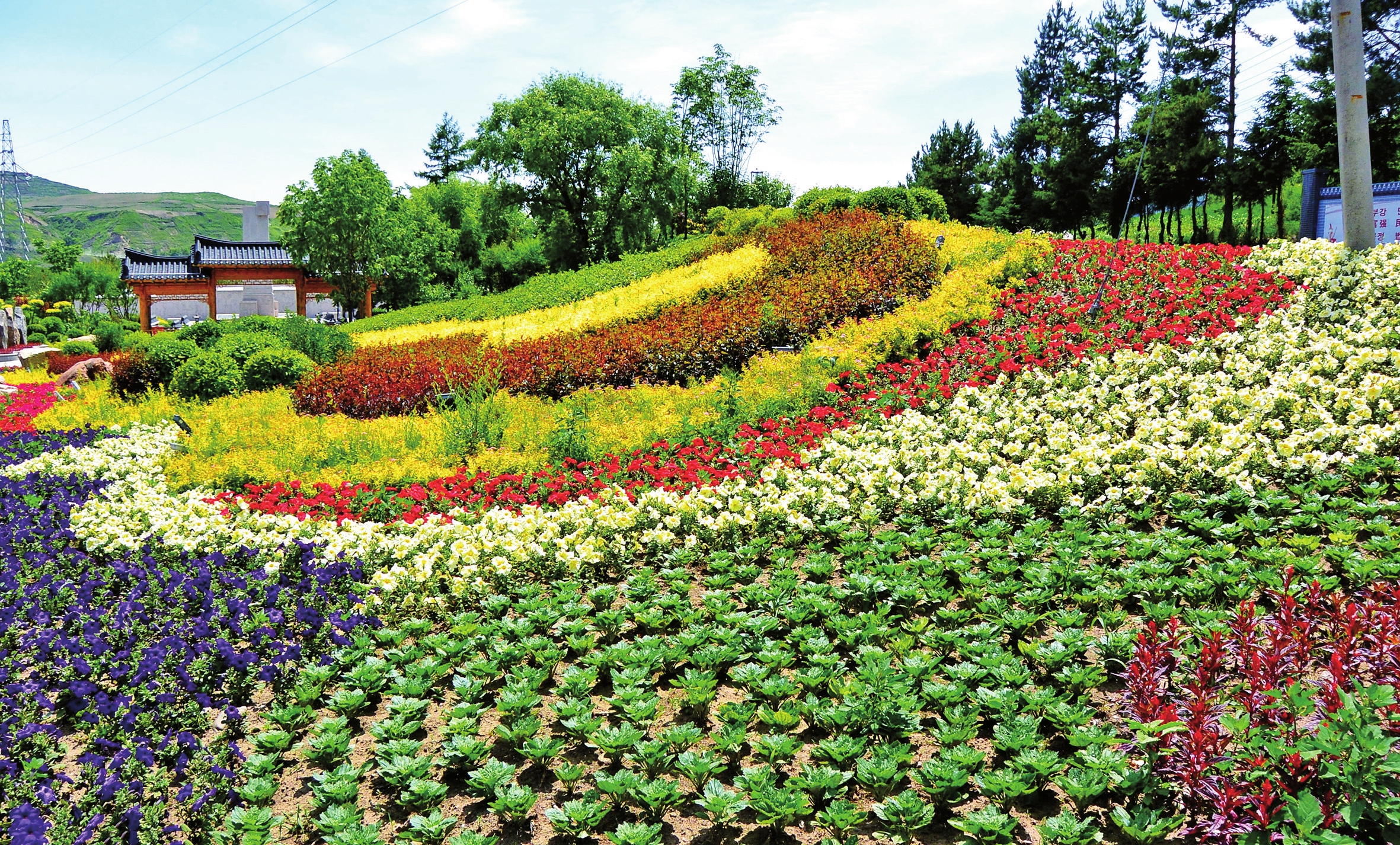 美丽画卷正铺展——白山市全面实施乡村振兴战略工作纪实