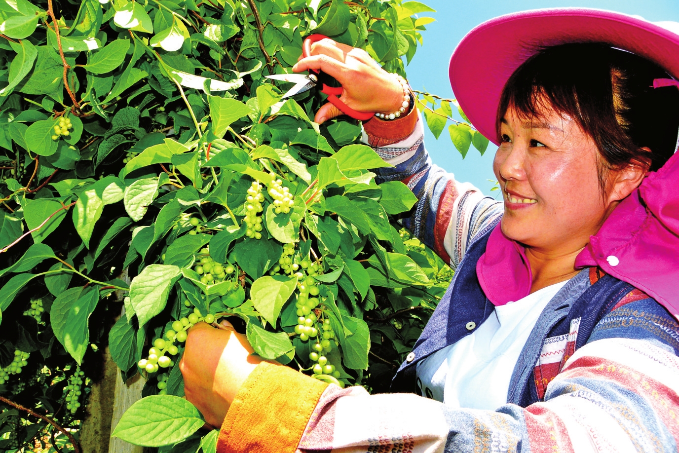 美丽画卷正铺展——白山市全面实施乡村振兴战略工作纪实