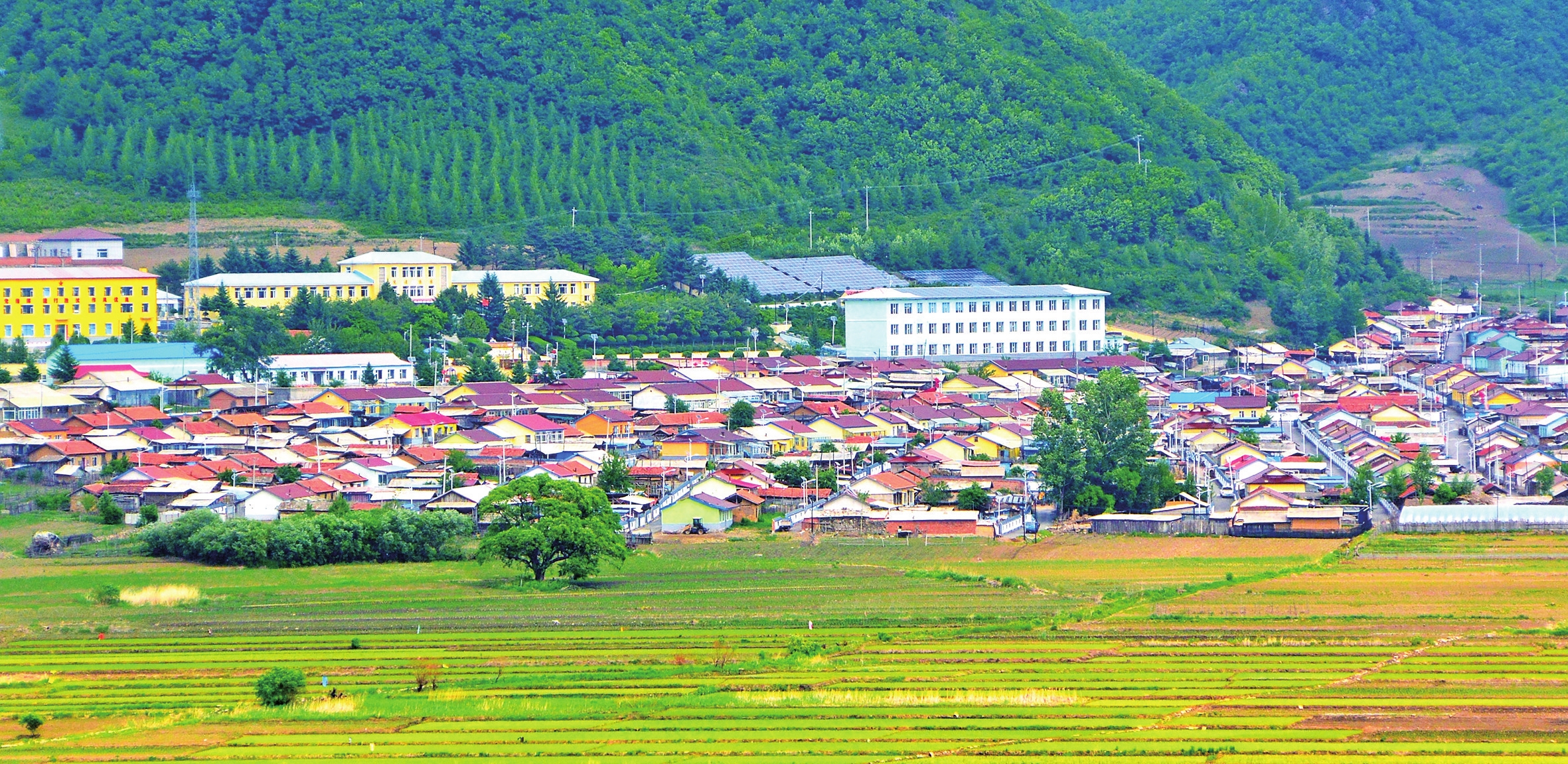 美丽画卷正铺展——白山市全面实施乡村振兴战略工作纪实
