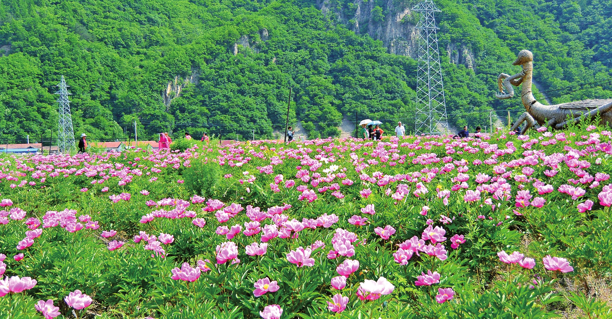 美丽画卷正铺展——白山市全面实施乡村振兴战略工作纪实