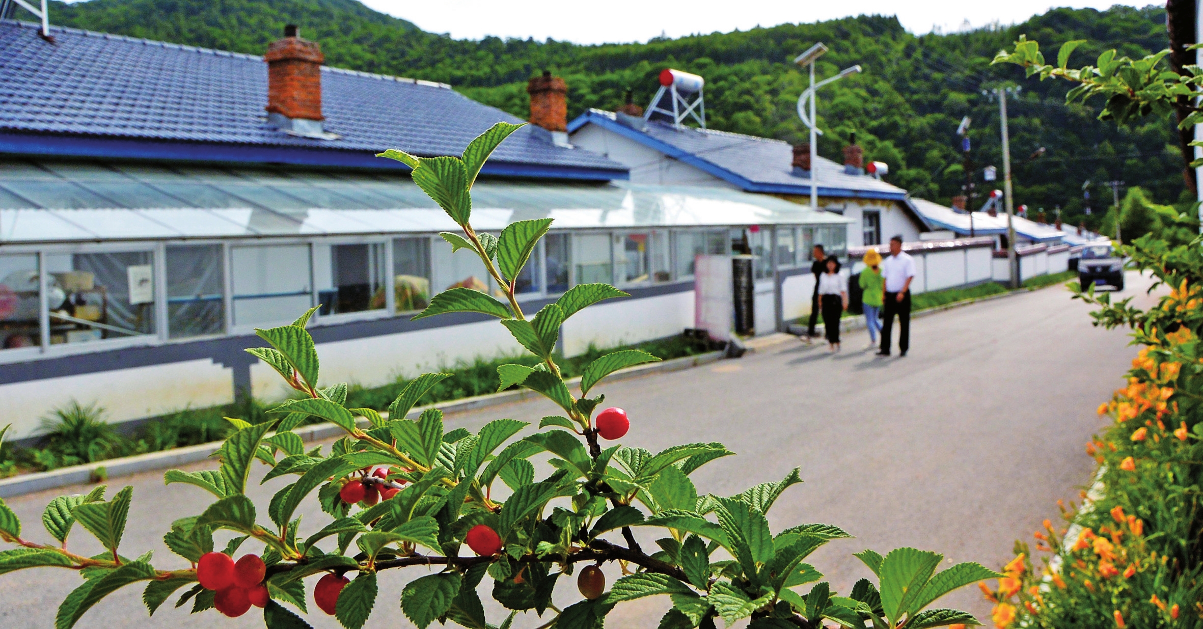 美丽画卷正铺展——白山市全面实施乡村振兴战略工作纪实
