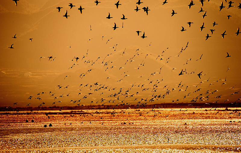 深藏在大凉山深处的最美湿地——布拖县乐安湿地_fororder_乐安湿地-供图-布拖县委宣传部（4）