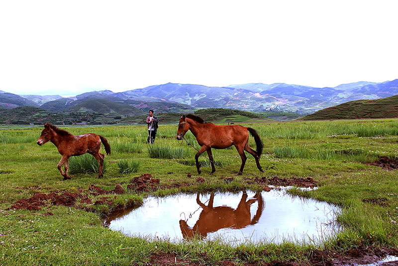 深藏在大凉山深处的最美湿地——布拖县乐安湿地_fororder_乐安湿地-供图-布拖县委宣传部