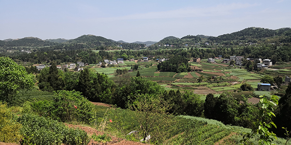 （全省第一 附链接）四川：水土保持有路径 乡村振兴出成绩_fororder_中江县积金镇水保项目-供图-四川省水利厅