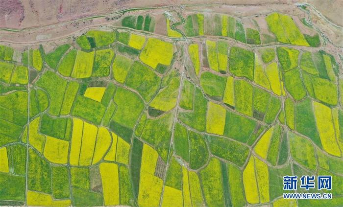 图片默认标题_fororder_CqgNOl0dX1OAOAGsAAAAAAAAAAA117.900x543