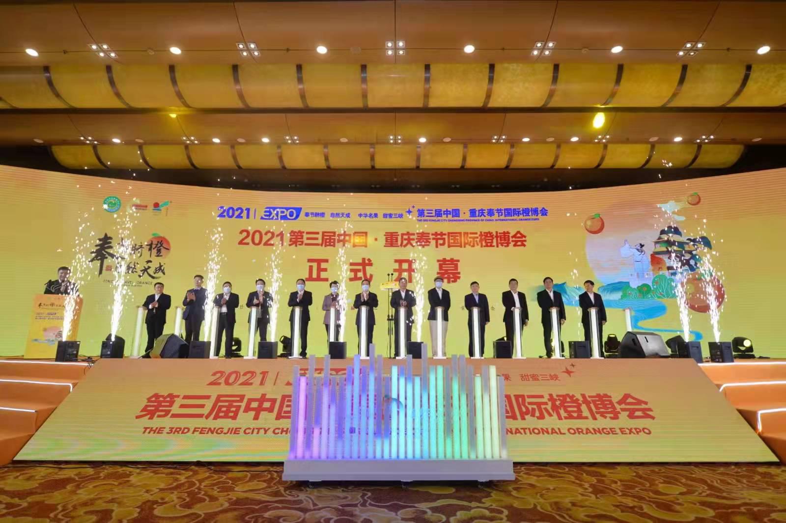 报告显示新产季多数企业对奉节脐橙持乐观态度