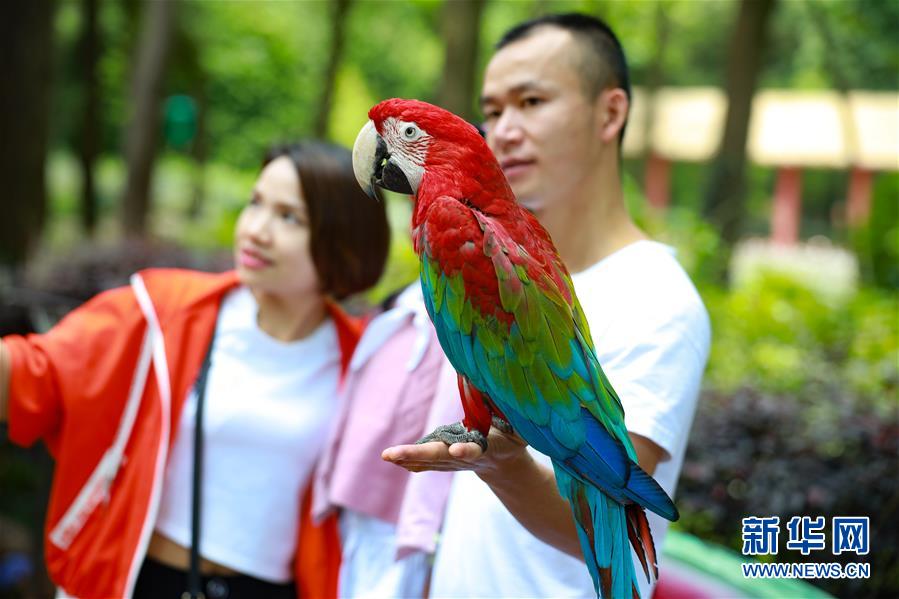 貴陽：動物園有序開放