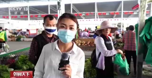 海南瓜菜上新 总台记者探访“南菜北运”全流程