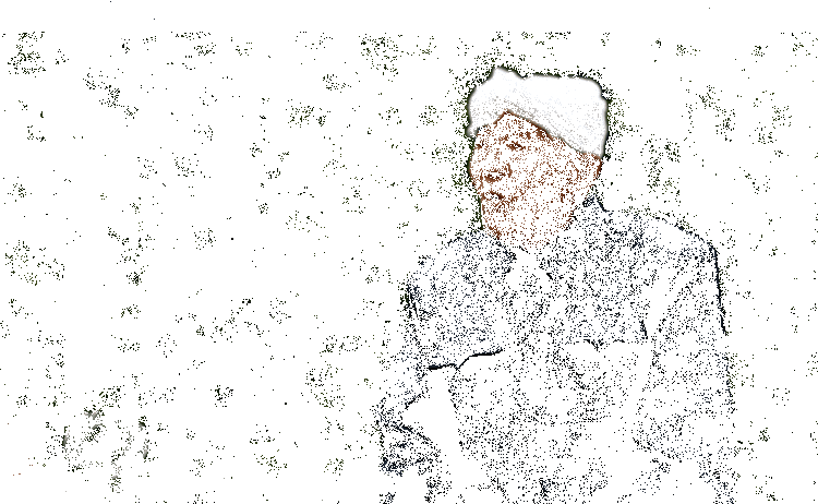 中国人种树有多牛？看看这家人就知道了