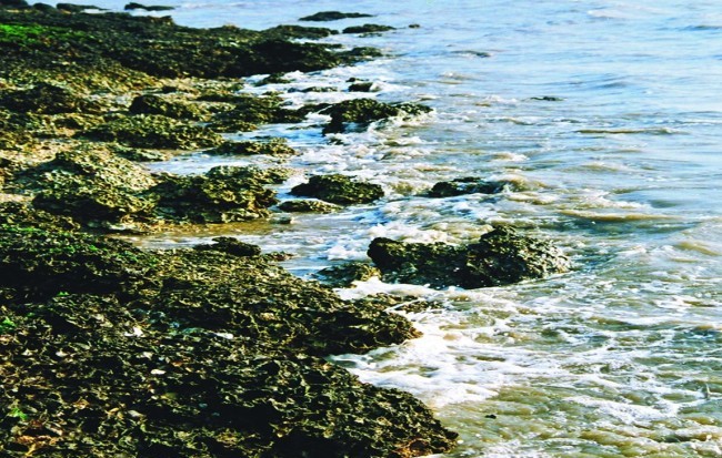 图片默认标题_fororder_2-1