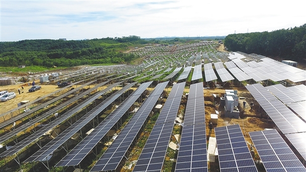 【市县】【扶贫专题-驻村扶贫】【即时快讯】白沙800贫困户喜获240万元分红