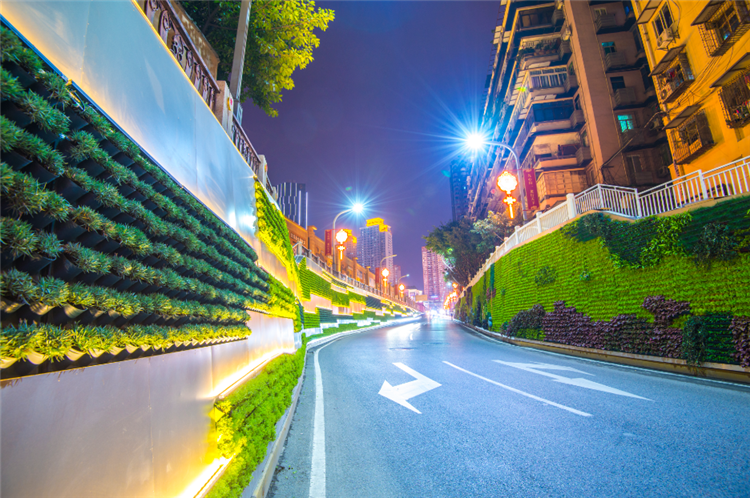 宣傳部要求轉發【聚焦重慶】九龍坡立體綠化漸成特色 打造5D城市生態空間