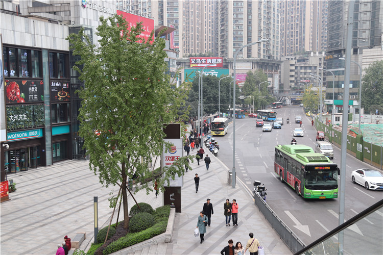宣傳部要求轉發【聚焦重慶】九龍坡立體綠化漸成特色 打造5D城市生態空間