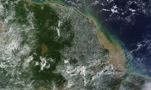 亞馬遜河口發現9300平方公里珊瑚礁 科學家稱奇