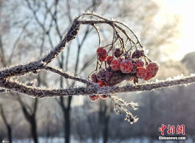 Pesona Pemandangan Kabut Ais_fororder_hh3