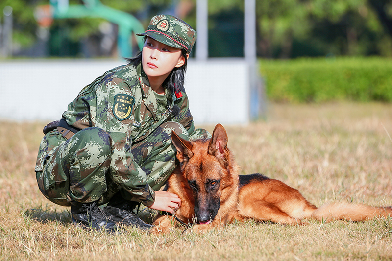 《奇兵神犬》张馨予搭档"艾勒薇斯"救援引泪崩