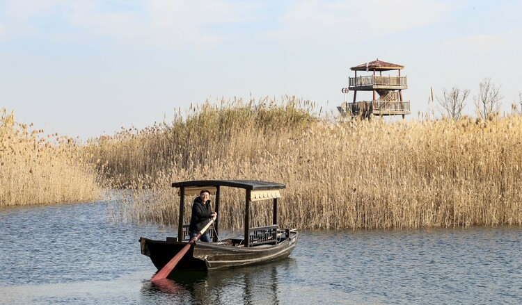 白马湖湿地图片