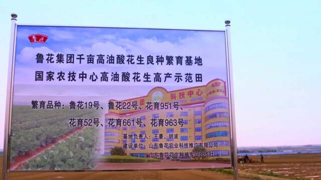 鲁花：科技赋能品质提升 探索食用油行业高质量发展