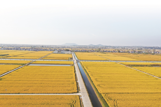 江蘇：完善農村水利體系 助推鄉村全面振興