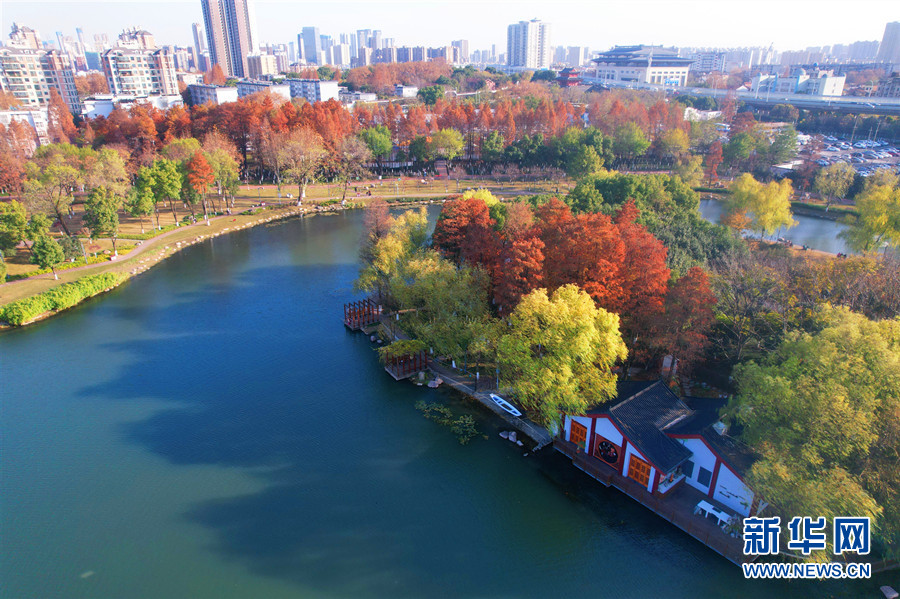 武漢紫陽公園生態蝶變重煥新生