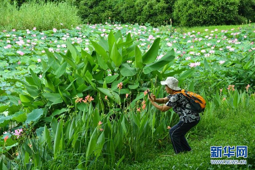 廣州海珠國家濕地公園將代表中國角逐“迪拜獎”