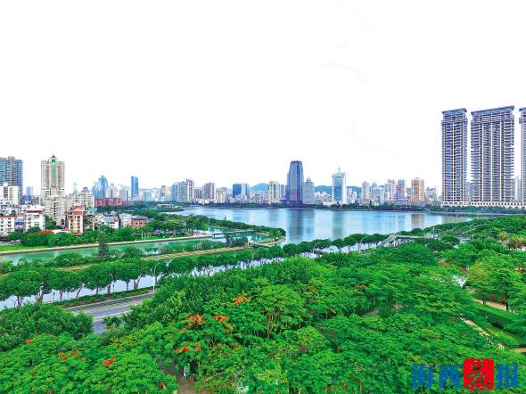 生態廈門：藍天碧海滿城綠 海豚戲水鳥入林