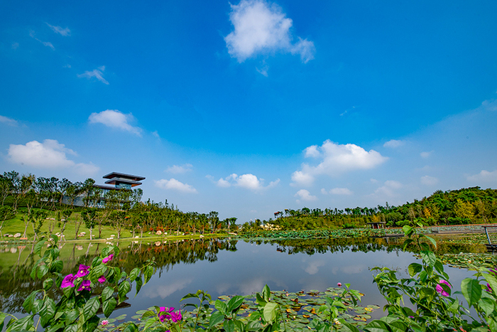 청두, 도시의 녹색저탄소 발전 추진_fororder_20211224-lvseditan-2