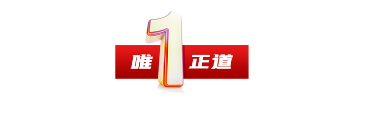 人民领袖丨习近平的202“1”