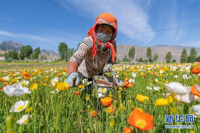 图片默认标题_fororder_CqgNOl0imhiAErD1AAAAAAAAAAA980.899x599