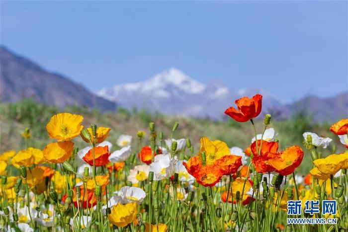 图片默认标题_fororder_CqgNOl0imheABOmjAAAAAAAAAAA964.900x600